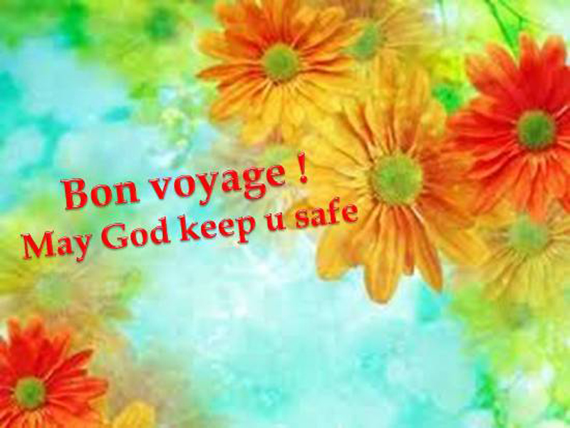 Bon voyage meaning