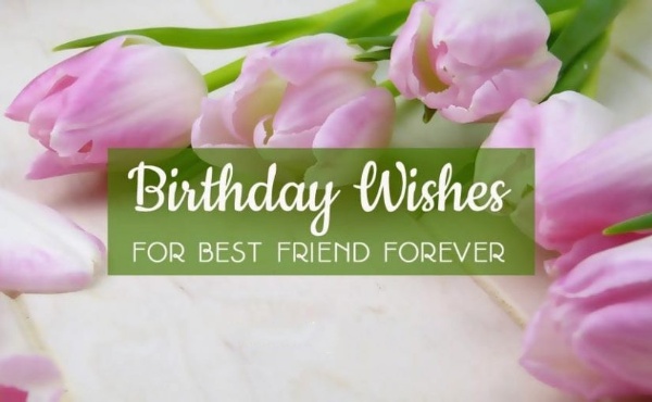 Birthday Wishes For Best Friend Male And Female Sweet Love Messages
